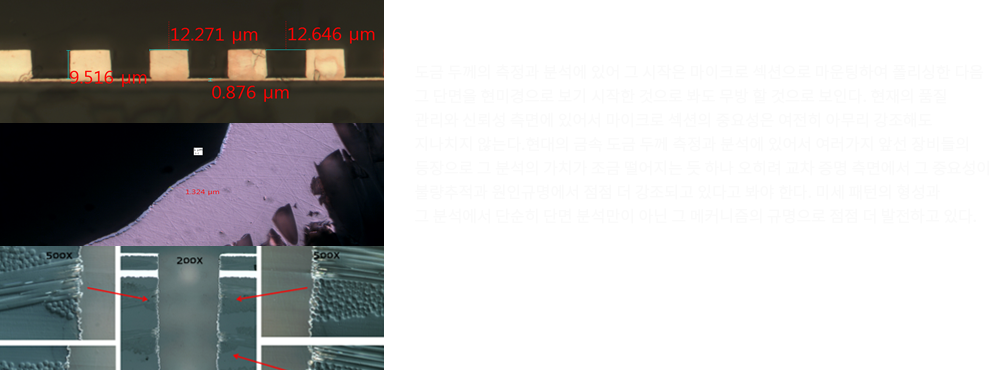 마이크로 섹션